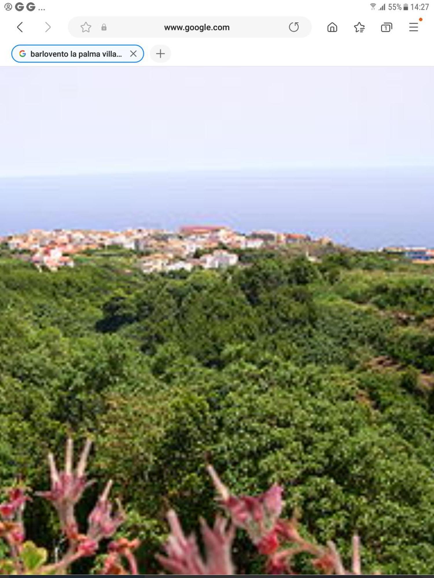 Terraza Del Atlantico 1 + 2 Apartment Barlovento Bagian luar foto
